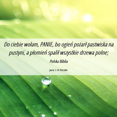 Picture 06 - Joela 1:19 POLUBG - Do ciebie wołam, PANIE, bo ogień pożarł - Bible Verse Picture