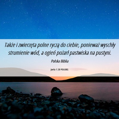 Picture 06 - Joela 1:20 POLUBG - Także i zwierzęta polne ryczą do ciebie, - Bible Verse Picture