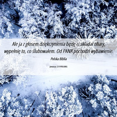 Picture 06 - Jonasza 2:9 POLUBG - Ale ja z głosem dziękczynienia będę ci - Bible Verse Picture