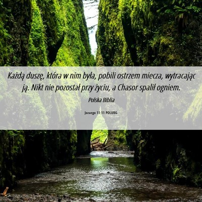 Picture 06 - Jozuego 11:11 POLUBG - Każdą duszę, która w nim była, pobili - Bible Verse Picture