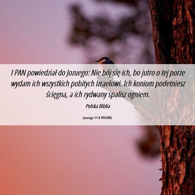 Picture 06 - Jozuego 11:6 POLUBG - I PAN powiedział do Jozuego: Nie bój się ich, - Bible Verse Picture
