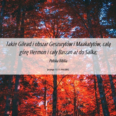 Picture 06 - Jozuego 13:11 POLUBG - Także Gilead i obszar Geszurytów i Maakatytów, - Bible Verse Picture