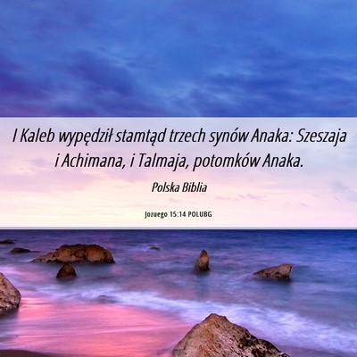 Picture 06 - Jozuego 15:14 POLUBG - I Kaleb wypędził stamtąd trzech synów Anaka: - Bible Verse Picture