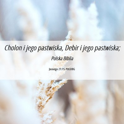 Picture 06 - Jozuego 21:15 POLUBG - Cholon i jego pastwiska, Debir i jego - Bible Verse Picture