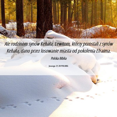 Picture 06 - Jozuego 21:20 POLUBG - Ale rodzinom synów Kehata, Lewitom, którzy - Bible Verse Picture