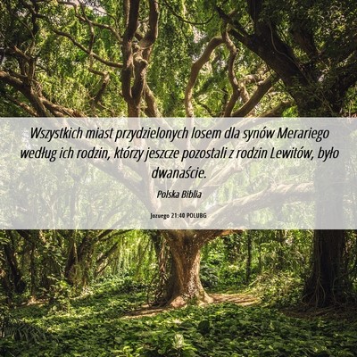 Picture 06 - Jozuego 21:40 POLUBG - Wszystkich miast przydzielonych losem dla synów - Bible Verse Picture
