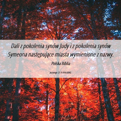 Picture 06 - Jozuego 21:9 POLUBG - Dali z pokolenia synów Judy i z pokolenia synów - Bible Verse Picture