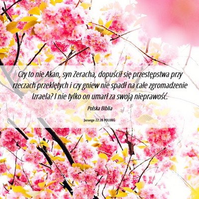 Picture 06 - Jozuego 22:20 POLUBG - Czy to nie Akan, syn Zeracha, dopuścił się - Bible Verse Picture