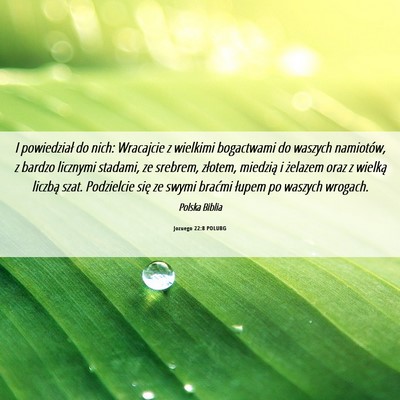 Picture 06 - Jozuego 22:8 POLUBG - I powiedział do nich: Wracajcie z wielkimi - Bible Verse Picture