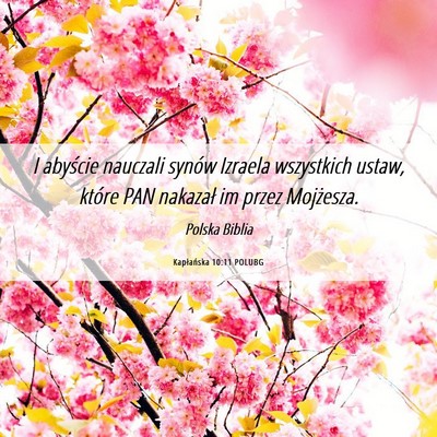 Picture 06 - Kapłańska 10:11 POLUBG - I abyście nauczali synów Izraela wszystkich - Bible Verse Picture