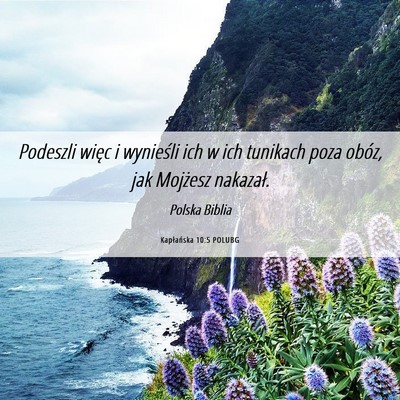 Picture 06 - Kapłańska 10:5 POLUBG - Podeszli więc i wynieśli ich w ich tunikach - Bible Verse Picture
