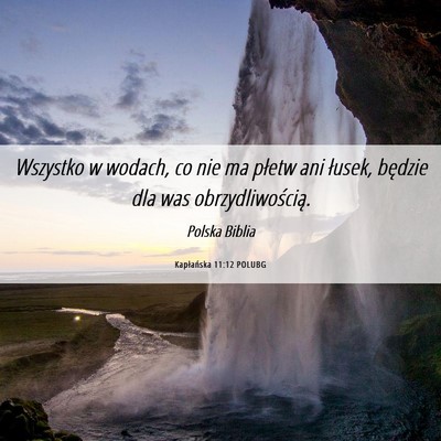 Picture 06 - Kapłańska 11:12 POLUBG - Wszystko w wodach, co nie ma płetw ani łusek, - Bible Verse Picture