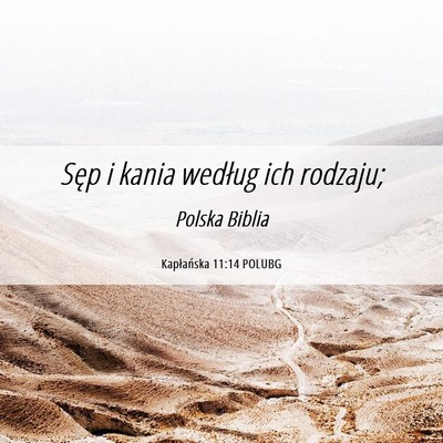 Picture 06 - Kapłańska 11:14 POLUBG - Sęp i kania według ich - Bible Verse Picture
