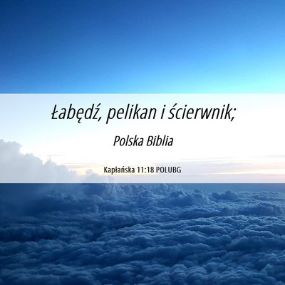 Picture 06 - Kapłańska 11:18 POLUBG - Łabędź, pelikan i - Bible Verse Picture