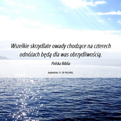 Picture 06 - Kapłańska 11:20 POLUBG - Wszelkie skrzydlate owady chodzące na czterech - Bible Verse Picture