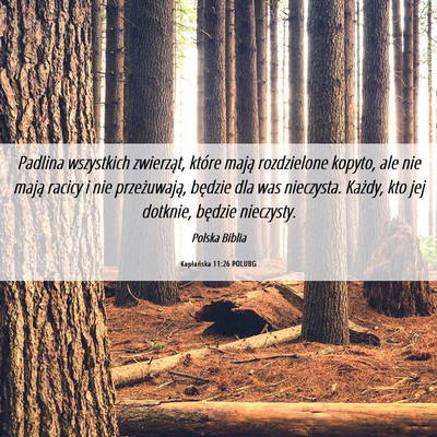 Picture 06 - Kapłańska 11:26 POLUBG - Padlina wszystkich zwierząt, które mają - Bible Verse Picture