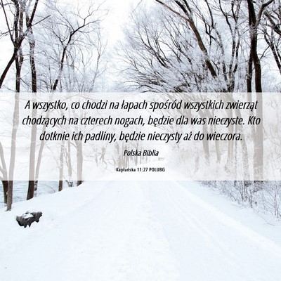 Picture 06 - Kapłańska 11:27 POLUBG - A wszystko, co chodzi na łapach spośród - Bible Verse Picture