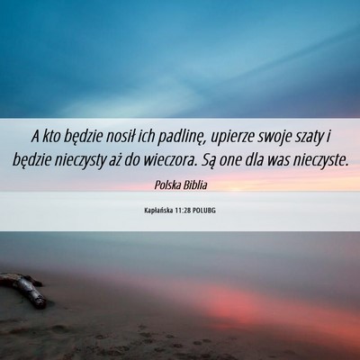 Picture 06 - Kapłańska 11:28 POLUBG - A kto będzie nosił ich padlinę, upierze swoje - Bible Verse Picture