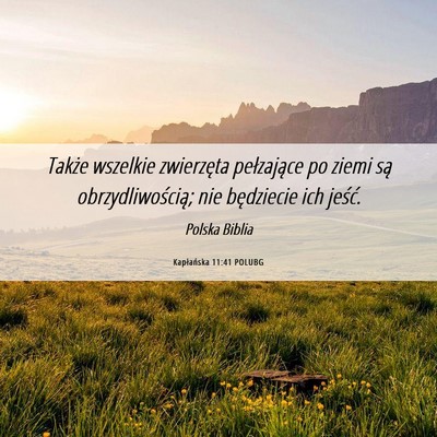 Picture 06 - Kapłańska 11:41 POLUBG - Także wszelkie zwierzęta pełzające po ziemi - Bible Verse Picture