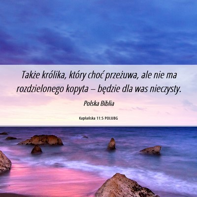 Picture 06 - Kapłańska 11:5 POLUBG - Także królika, który choć przeżuwa, ale nie - Bible Verse Picture