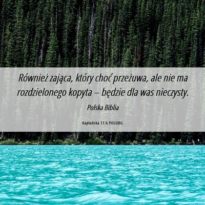 Picture 06 - Kapłańska 11:6 POLUBG - Również zająca, który choć przeżuwa, ale - Bible Verse Picture