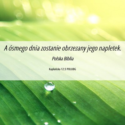 Picture 06 - Kapłańska 12:3 POLUBG - A ósmego dnia zostanie obrzezany jego - Bible Verse Picture