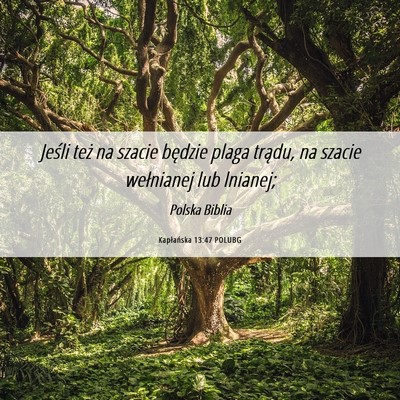 Picture 06 - Kapłańska 13:47 POLUBG - Jeśli też na szacie będzie plaga trądu, na - Bible Verse Picture