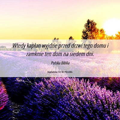 Picture 06 - Kapłańska 14:38 POLUBG - Wtedy kapłan wyjdzie przed drzwi tego domu i - Bible Verse Picture