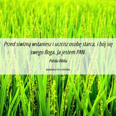Picture 06 - Kapłańska 19:32 POLUBG - Przed siwizną wstaniesz i uczcisz osobę starca, - Bible Verse Picture