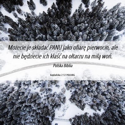 Picture 06 - Kapłańska 2:12 POLUBG - Możecie je składać PANU jako ofiarę - Bible Verse Picture