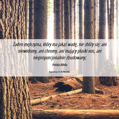 Picture 06 - Kapłańska 21:18 POLUBG - Żaden mężczyzna, który ma jakąś wadę, nie - Bible Verse Picture