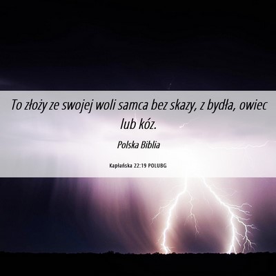 Picture 06 - Kapłańska 22:19 POLUBG - To złoży ze swojej woli samca bez skazy, z - Bible Verse Picture