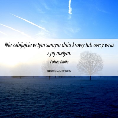 Picture 06 - Kapłańska 22:28 POLUBG - Nie zabijajcie w tym samym dniu krowy lub owcy - Bible Verse Picture