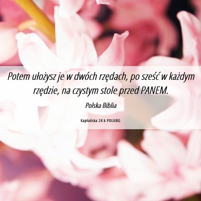 Picture 06 - Kapłańska 24:6 POLUBG - Potem ułożysz je w dwóch rzędach, po sześć - Bible Verse Picture