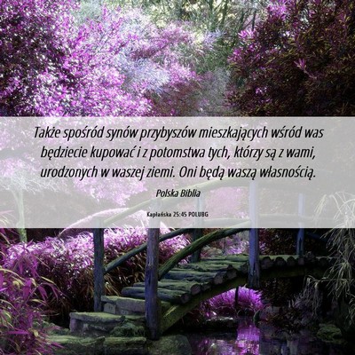 Picture 06 - Kapłańska 25:45 POLUBG - Także spośród synów przybyszów - Bible Verse Picture