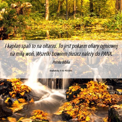 Picture 06 - Kapłańska 3:16 POLUBG - I kapłan spali to na ołtarzu. To jest pokarm - Bible Verse Picture