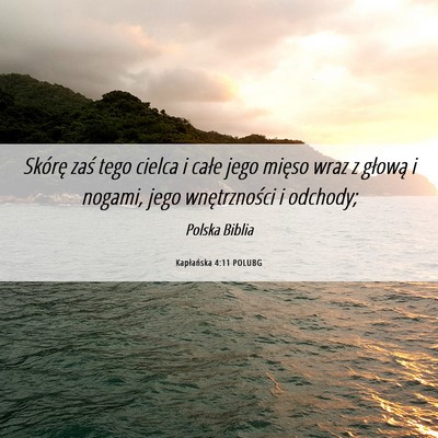 Picture 06 - Kapłańska 4:11 POLUBG - Skórę zaś tego cielca i całe jego mięso wraz - Bible Verse Picture