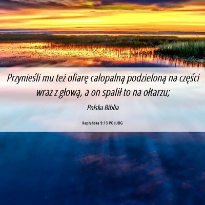 Picture 06 - Kapłańska 9:13 POLUBG - Przynieśli mu też ofiarę całopalną - Bible Verse Picture