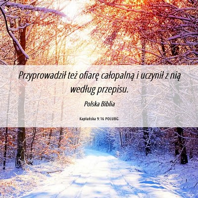 Picture 06 - Kapłańska 9:16 POLUBG - Przyprowadził też ofiarę całopalną i - Bible Verse Picture
