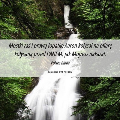 Picture 06 - Kapłańska 9:21 POLUBG - Mostki zaś i prawą łopatkę Aaron kołysał na - Bible Verse Picture