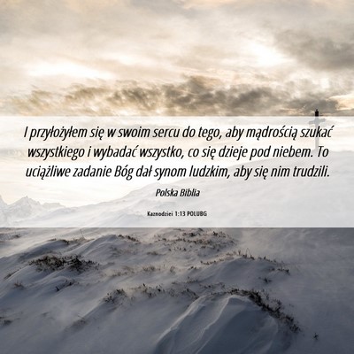 Picture 06 - Kaznodziei 1:13 POLUBG - I przyłożyłem się w swoim sercu do tego, aby - Bible Verse Picture