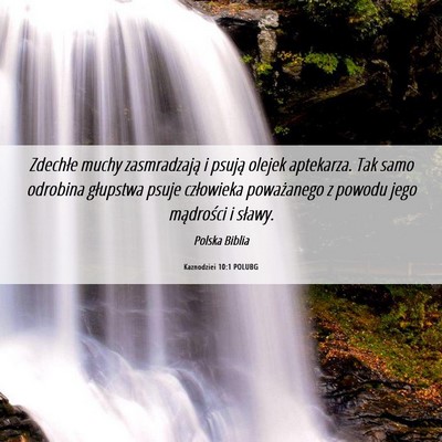 Picture 06 - Kaznodziei 10:1 POLUBG - Zdechłe muchy zasmradzają i psują olejek - Bible Verse Picture