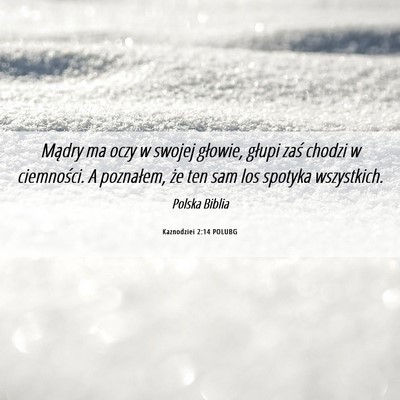 Picture 06 - Kaznodziei 2:14 POLUBG - Mądry ma oczy w swojej głowie, głupi zaś - Bible Verse Picture