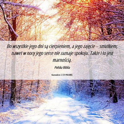 Picture 06 - Kaznodziei 2:23 POLUBG - Bo wszystkie jego dni są cierpieniem, a jego - Bible Verse Picture