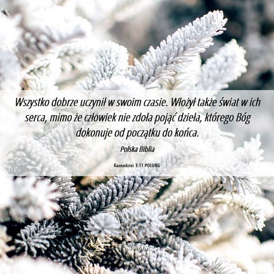 Picture 06 - Kaznodziei 3:11 POLUBG - Wszystko dobrze uczynił w swoim czasie. - Bible Verse Picture
