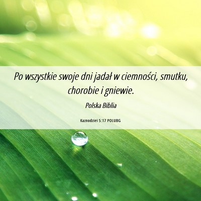 Picture 06 - Kaznodziei 5:17 POLUBG - Po wszystkie swoje dni jadał w ciemności, - Bible Verse Picture