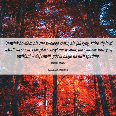 Picture 06 - Kaznodziei 9:12 POLUBG - Człowiek bowiem nie zna swojego czasu, ale jak - Bible Verse Picture