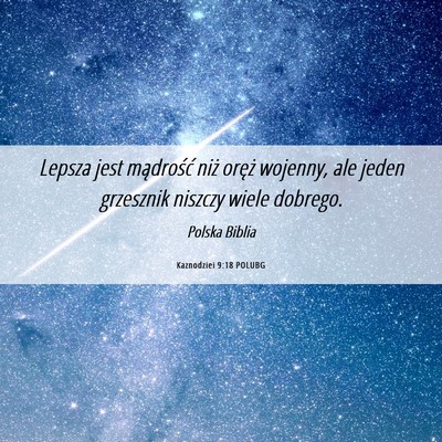 Picture 06 - Kaznodziei 9:18 POLUBG - Lepsza jest mądrość niż oręż wojenny, ale - Bible Verse Picture