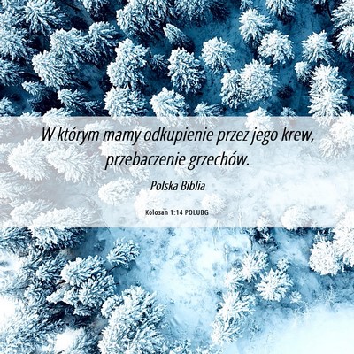 Picture 06 - Kolosan 1:14 POLUBG - W którym mamy odkupienie przez jego krew, - Bible Verse Picture