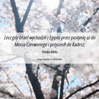Picture 06 - Księga Sędziów 11:16 POLUBG - Lecz gdy Izrael wychodził z Egiptu przez - Bible Verse Picture
